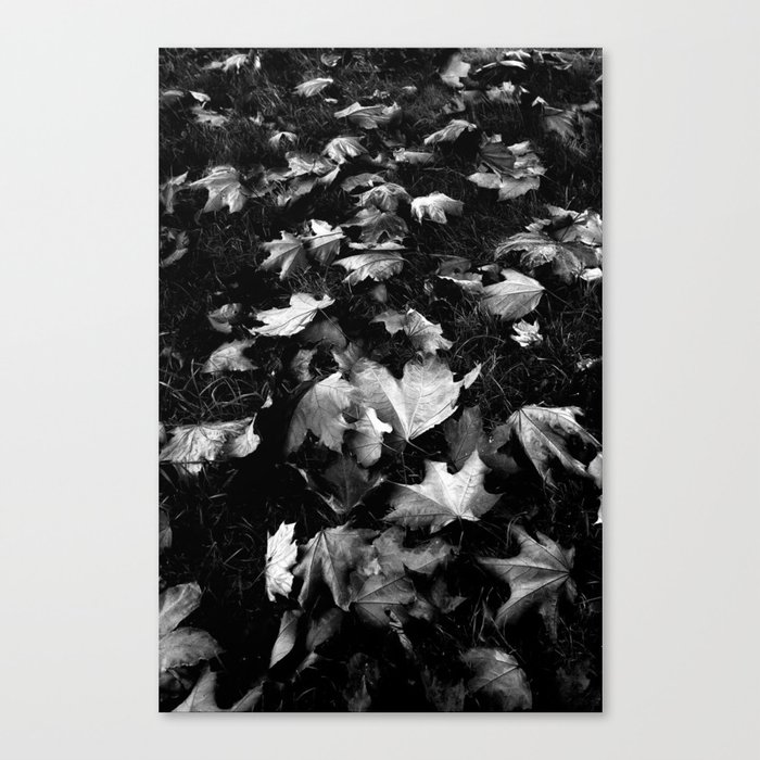 Autumn  Canvas Print