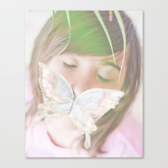 Butterfly love Canvas Print