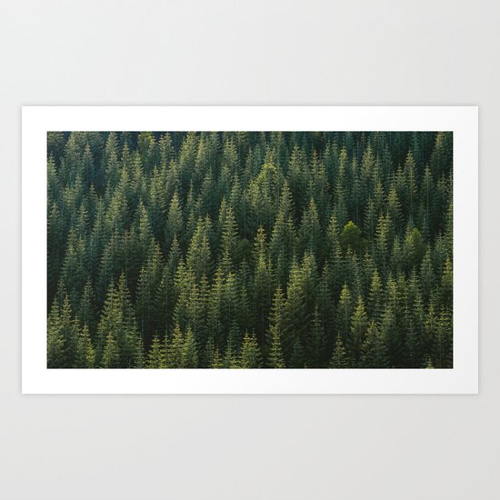 Evergreen #woods Art Print