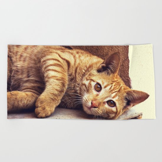 Cat roux Beach Towel