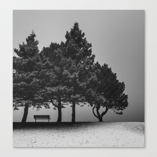 Shelter from the Storm Canvas Print