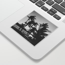 black and white palm trees Sticker