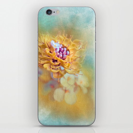 VARIE - Painting or photography? iPhone & iPod Skin