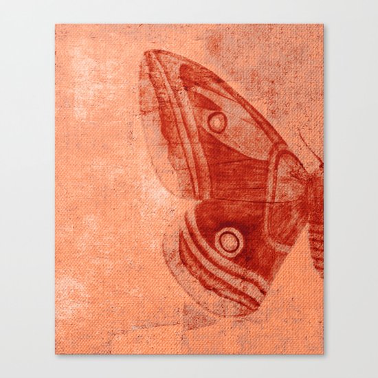 Moths 1 Canvas Print