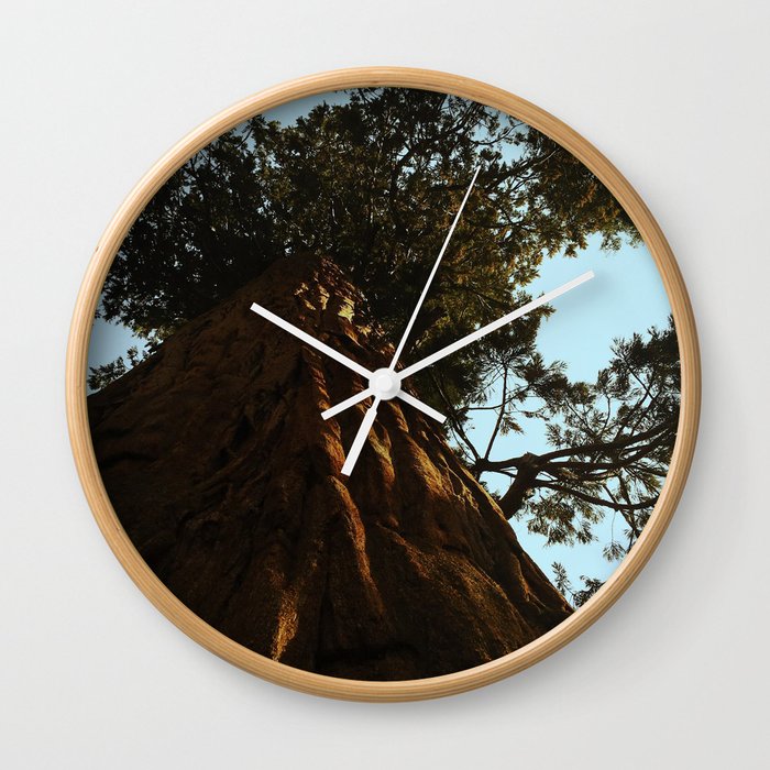 Sequoia Wall Clock