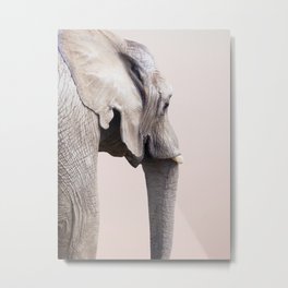 Animal Photography Elephant Portrait | Wildlife | Nature | Pink | Blush Pink Metal Print | Color, Elephanttrunk, African, Pinksky, Wild, Elephantart, Elephant, Elephantface, Wildlife, Pink 