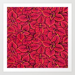 Coleus Leaves, Botanical Floral Pattern Alizarin Crimson Art Print | Alizarin, Botanical, Plants, Autumnal, Coleus, Cardinal, Colorful, Foliage, Carpet, Pattern 
