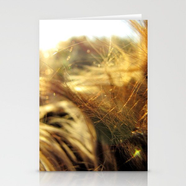 Calico Textures Stationery Cards