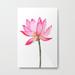 pink lotus flower Metal Print | Zenpainting, Watercolor, Watercolorart, Nature, Summerpainting, Romanticflowers, Walldecor, Pinkflower, Countryart, Naturelovers 