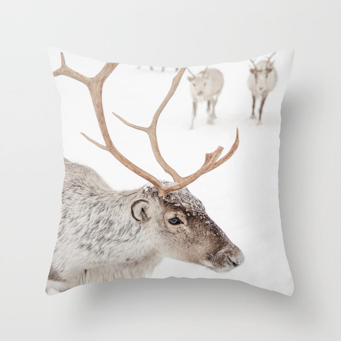 Throw Pillow