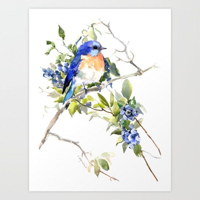 Bluebird and Blueberry Art Print