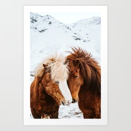 Icelandic horses - IV Art Print