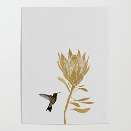 Hummingbird & Flower I Poster