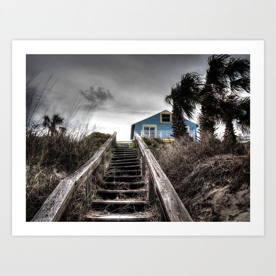 Coast Art Print