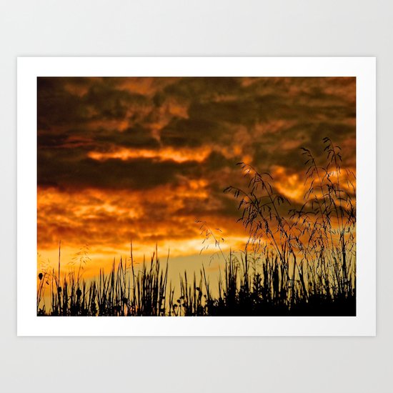 Goodbye Daylight Art Print