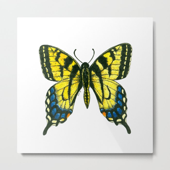 Tiger swallowtail butterfly watercolor and ink Metal Print
