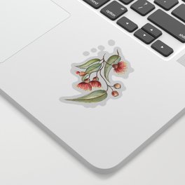 Flowering Australian Gum Sticker