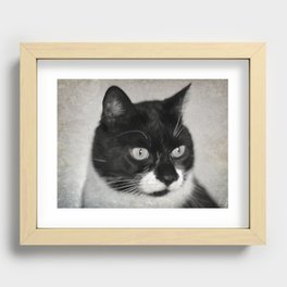 Curious Cat Recessed Framed Print