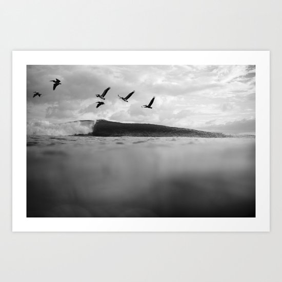 Pelícano Art Print