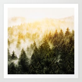 Don't Wake Me Up // Sunrise Fog Forest Home Art Print