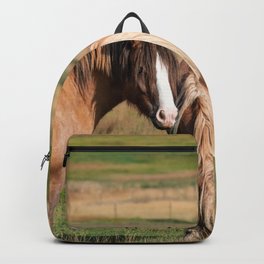 Gypsy Vanner Horses 0271 - Colorado Backpack | Photo, Horse Art, Fireflyranch, Nature, Ranch, Animal, Gypsyvanner, Femalehorse, Horse Lover, Colorado 