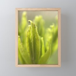 Nature is Magic Macro Photography  Framed Mini Art Print