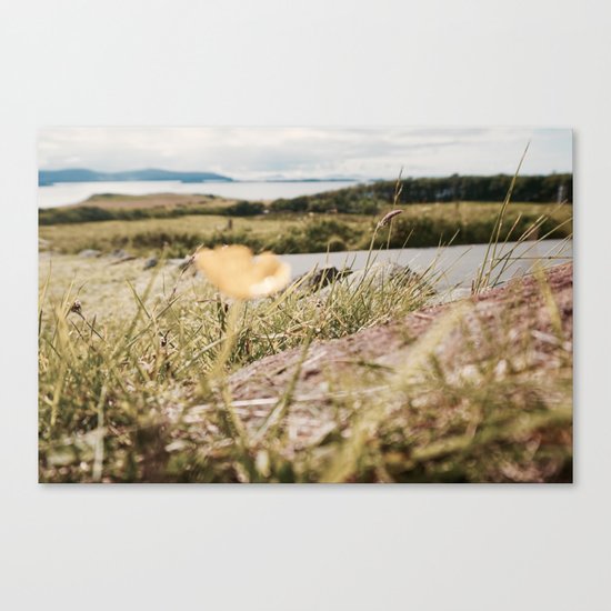 Clarity Canvas Print