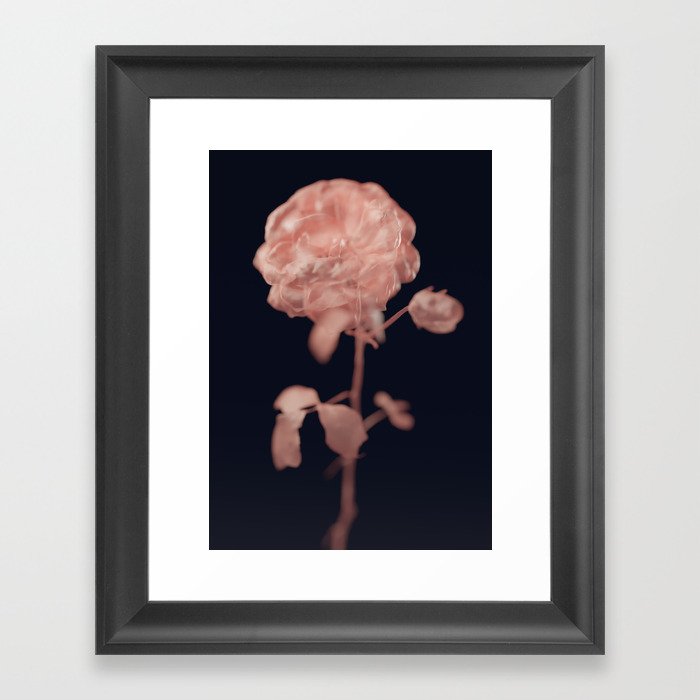 Rose modern dark art print design Framed Art Print