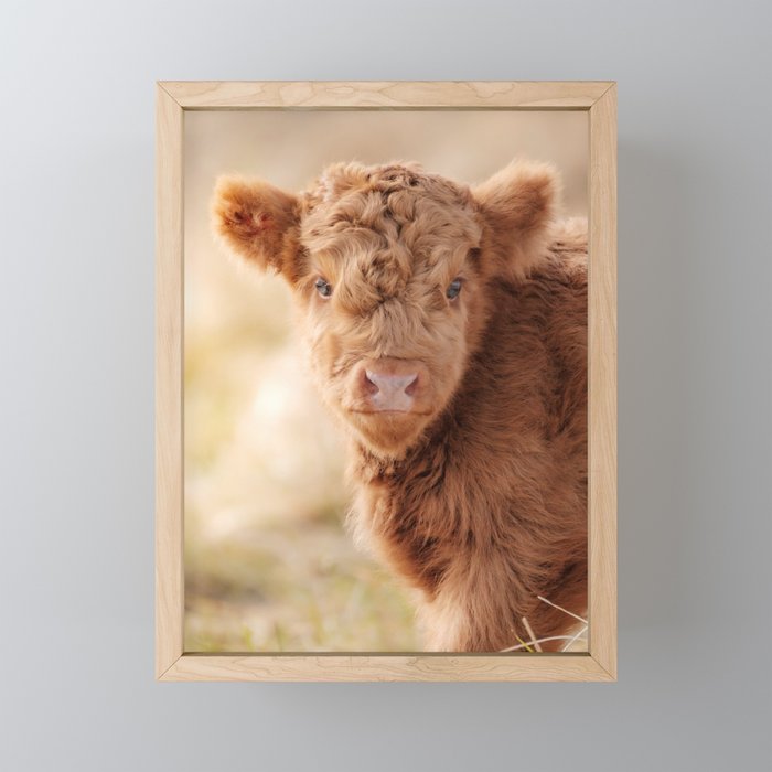 Mini melissa cow on sale