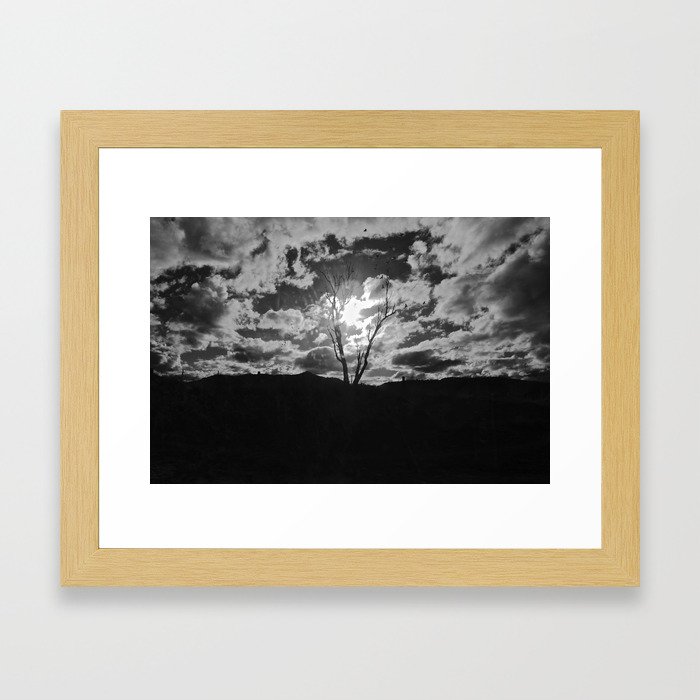 Dead trees & Cockatoo's Framed Art Print