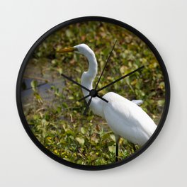 Great Egret On Prowl >> Great Egret Wall Clocks Society6 Great Egret On Prowl >> Great Egret Wall Clocks Society6
