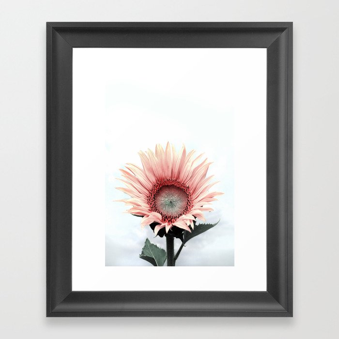 Pink Sunflower Framed Art Print