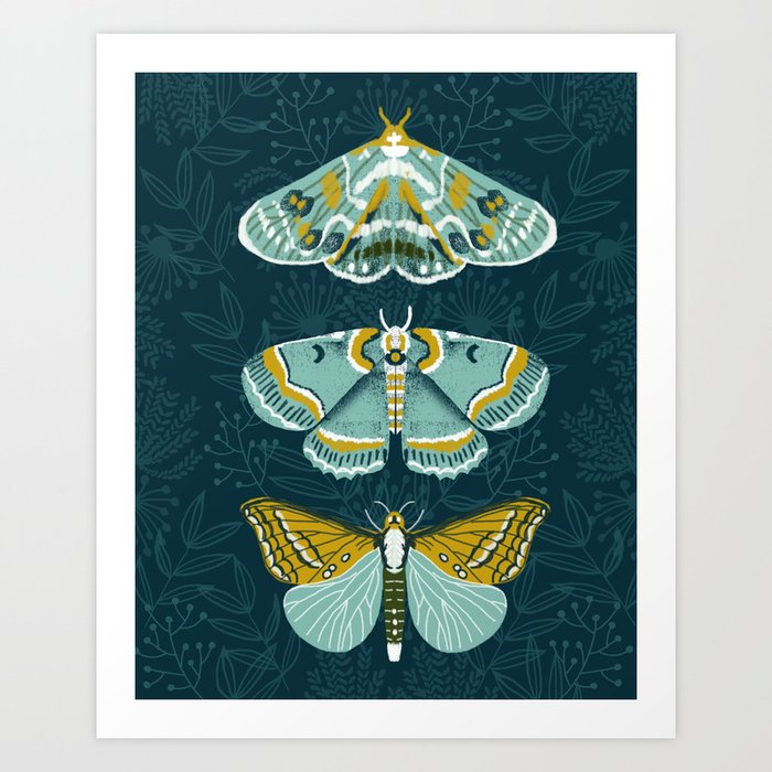 Lepidoptery No. 8 by Andrea Lauren  Art Print