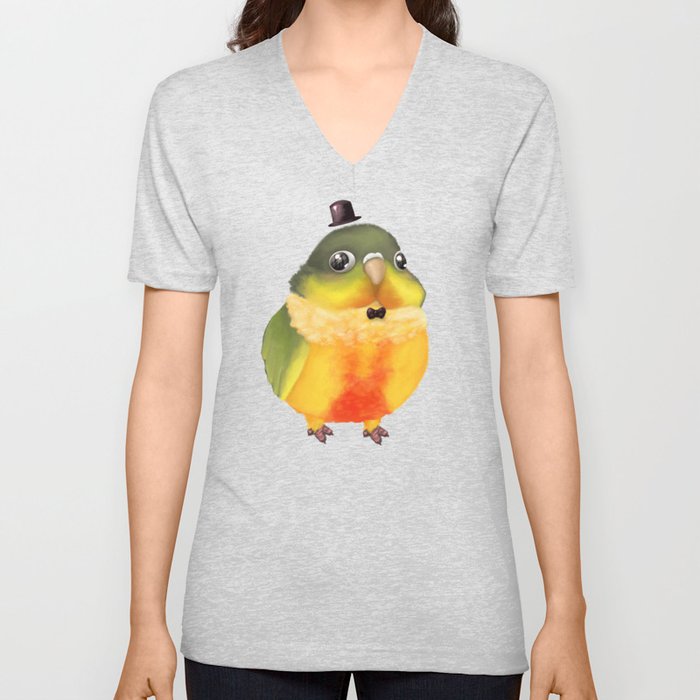 Fanciful Conure with Hat V Neck T Shirt