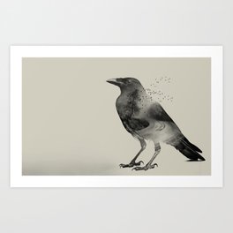 Raven Sky Art Print