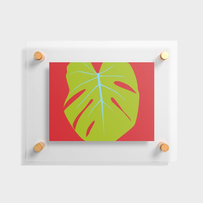 Tropical Leaf - Young Monstera Floating Acrylic Print