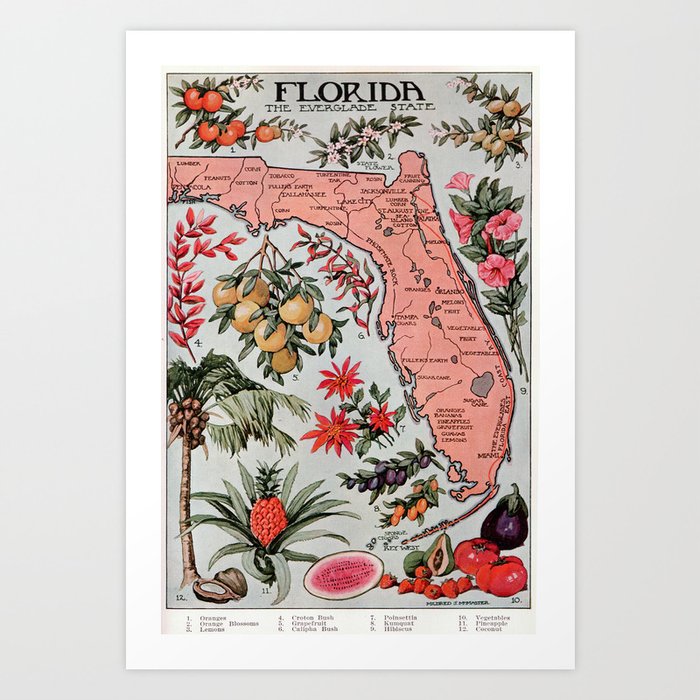 Vintage Map of Florida (1917) Kunstdrucke Vintage Map of Florida (1917) Kunstdrucke