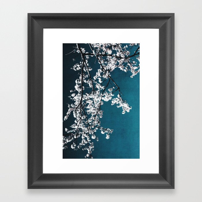 White Blossoms Tree Print - Flowers in Teal - Elegant Floral -  Japanese Nature photography Framed Art Print