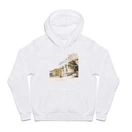 Temple Of Edfou (Edfu) illustration by David Roberts Hoody