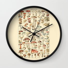 Trippy Vintage Mushroom Chart // Champignons by Adolphe Millot 19th Century Science Artwork Wall Clock
