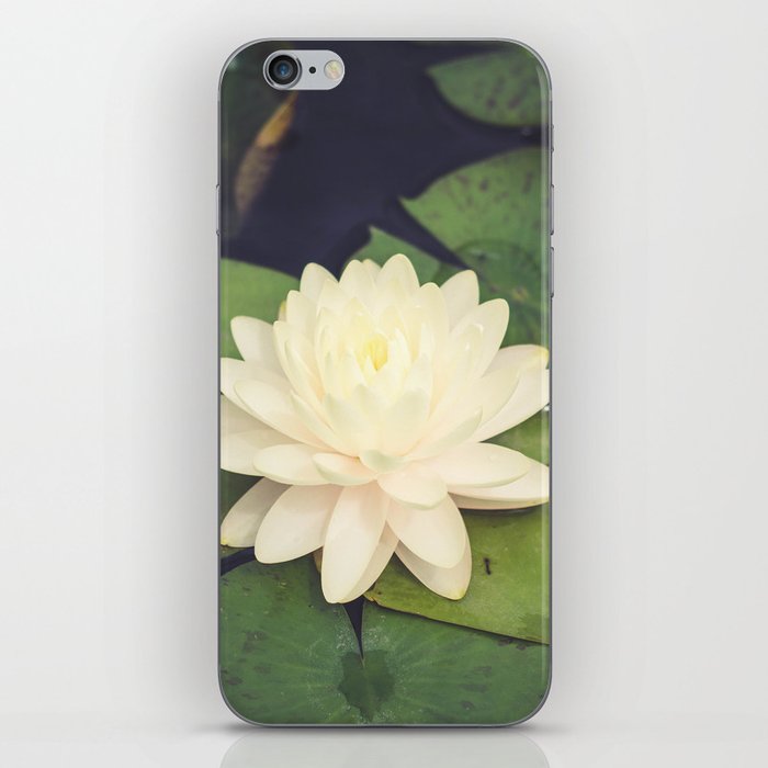 Peaceful Water Lily iPhone Skin