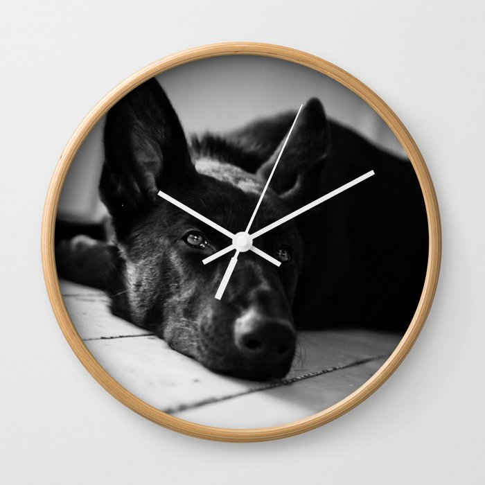 Dog German Shepherd  Wall Clock