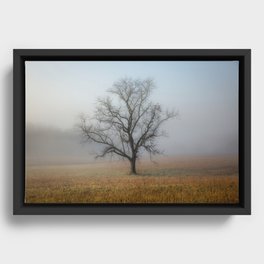 In a Fog - Single Tree on Foggy Morning in the Great Smoky Mountains Framed Canvas