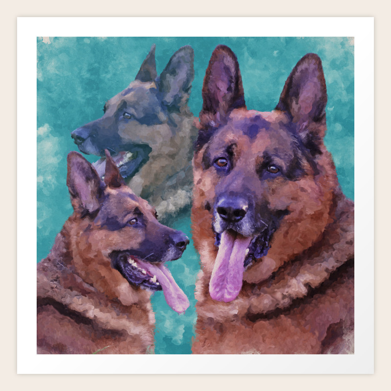 purple german shepherd