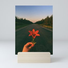 Prairie Tiger Lily Flower Mini Art Print