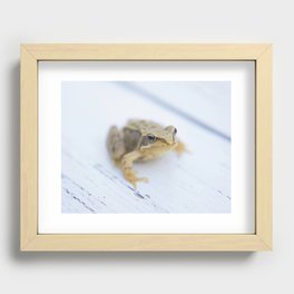 Little Frog Recessed Framed Print