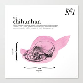 The Chihuahua Canvas Print