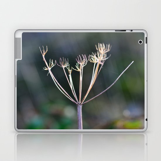 Cowslip Laptop & iPad Skin