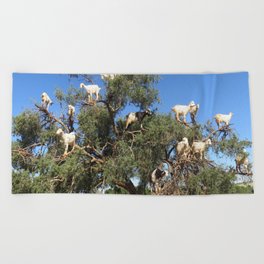 Goats in a tree Beach Towel