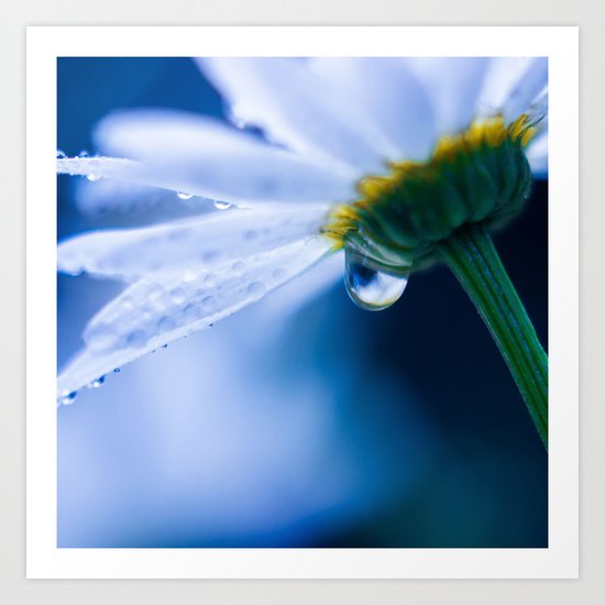 Tear of Dreams Art Print